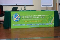 DSC 0008